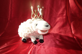 Schaf Wulli mit einer Krone