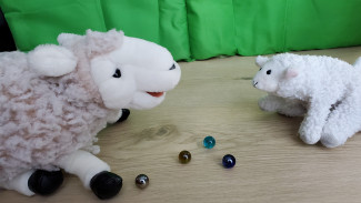 Wulli spielt mit einem kleinen Schaf