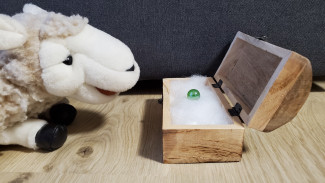 Wulli findet eine kostbare Perle