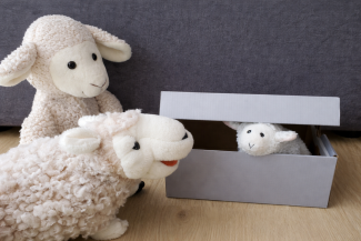 Wulli findet das verlorene Schaf